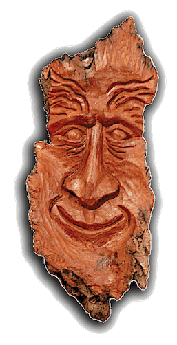 Whimsical Woodcarving, Whimsical Art, fun , Bark Carving by DW Carving Studio